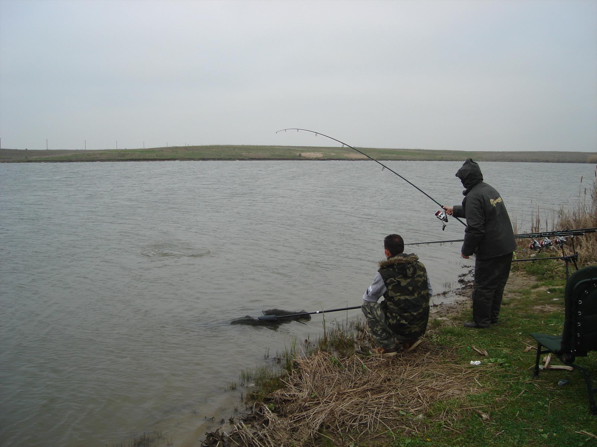 hobaia 2009 - dsc01602.JPG